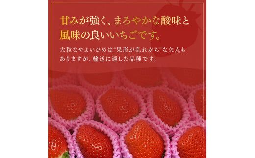 川南町産いちご「やよいひめ」計800ｇ【 先行予約 期間限定 果物 イチゴ 苺 フルーツ 】 [D09801]