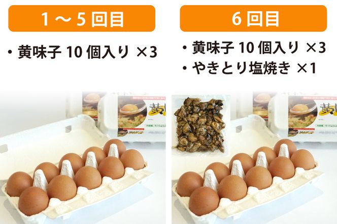 BE290【定期便】島原のたまご 黄味子Ａセット 計6回お届け