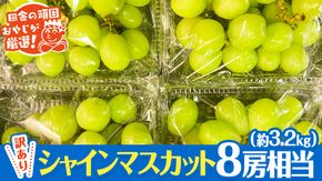 【 訳あり 】 シャインマスカット 8房相当（ 約3.2kg ） 【 令和6年9月より発送開始  】 田舎の頑固おやじが厳選 ！[BI209-NT]