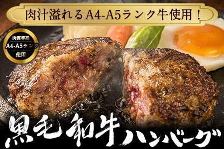 黒毛和牛ハンバーグ150g×10個 絶品 ブランド牛 黒毛和種 有限会社トップルーフ《60日以内に出荷予定(土日祝除く)》---so_ftopkrham_60d_21_28000_1500g---