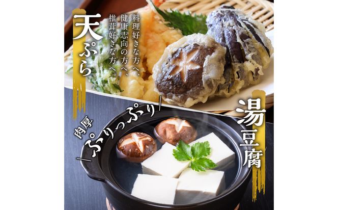 【F07015】大分産乾しいたけ