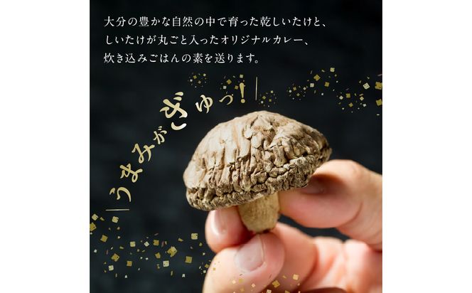 【F07027】大分産乾しいたけと豊後きのこカレーと豊後きのこめし