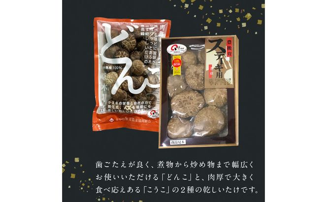 【F07027】大分産乾しいたけと豊後きのこカレーと豊後きのこめし