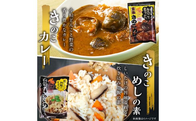 【F07027】大分産乾しいたけと豊後きのこカレーと豊後きのこめし