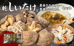 【F07027】大分産乾しいたけと豊後きのこカレーと豊後きのこめし