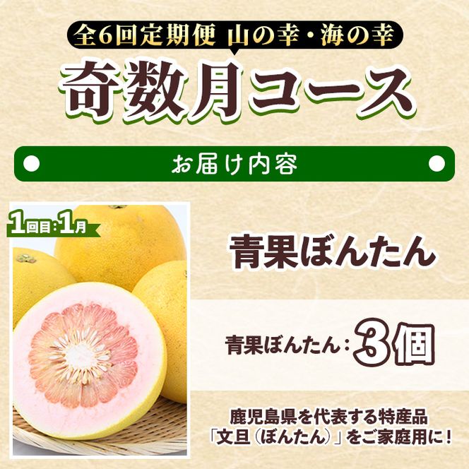 ＜定期便・全6回(奇数月)＞阿久根市の山の幸・海の幸(ぼんたん・不知火・タカエビ・メロン・伊勢海老など)国産 柑橘 みかん フルーツ 果物 魚介 頒布会【松永青果】a-120-4-z