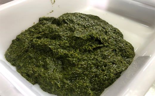 ＜春採りアカモク　3セット＞北海道 道南 乙部町産 日本海 海藻 ギバサ 栄養 レシピ レシピ付 スーパーフード 効能