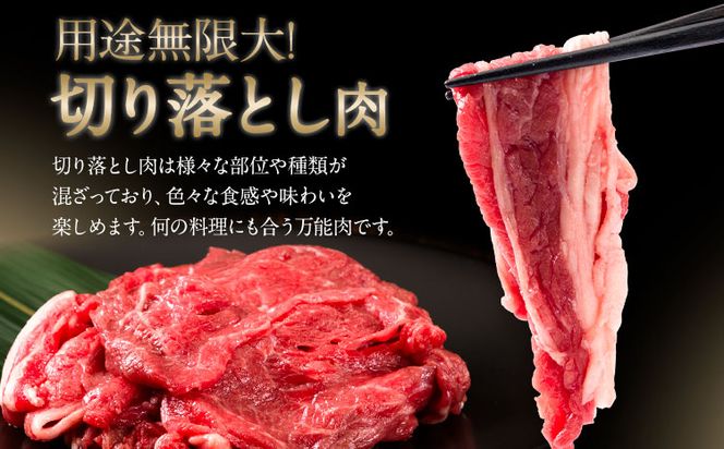 【ふるさと納税】牛肉 肉 おつかれママ牛 ホルスタイン 牛肉セット 選べる セット内容 1kg 1.5kg 株式会社こはら《60日以内に出荷予定(土日祝除く)》岡山県産 岡山県 笠岡市 切り落とし肉 そずり肉 すじ肉 セット---K-23---