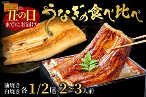 【土用の丑の日までに届く！（7月30日～8月1日配送）】うなぎの食べ比べセット2～3人前【蒲焼き・白焼きそれぞれ1/2尾】全部で1尾　AN00086