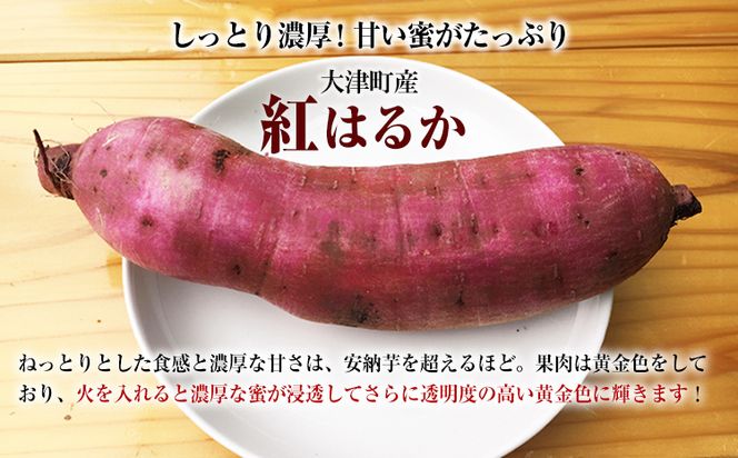 熊本県大津町産 タカハマ観光農園の紅はるか 約5kg(大中小ミックス)《1月上旬-4月末頃出荷》 さつまいも 芋 スイートポテト 干し芋にも---so_tkhmbni_af14_24_9500_5kg---