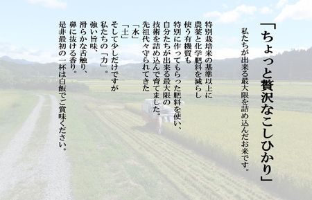 【新米受付・令和8年産米】 新潟県村上市岩船産 特別栽培米・ちょっと贅沢なこしひかり4kg（2kg×2袋）＆古代米50ｇセット NA4170