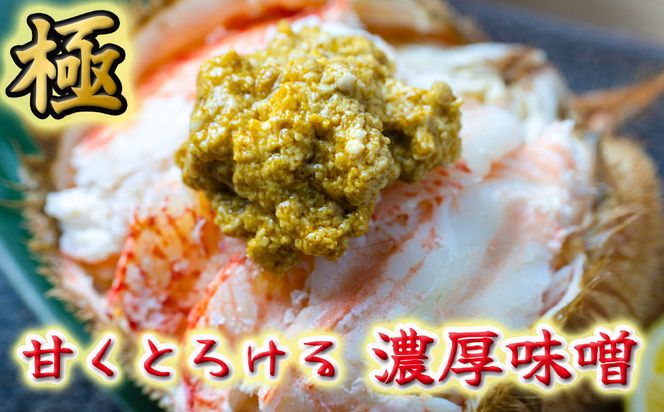 【令和8年発送】岩手三陸産【活毛蟹】| 400g×2【2026年2月～4月発送】新鮮の極 | 毛がに 毛かに【0tsuchi01290】【15】