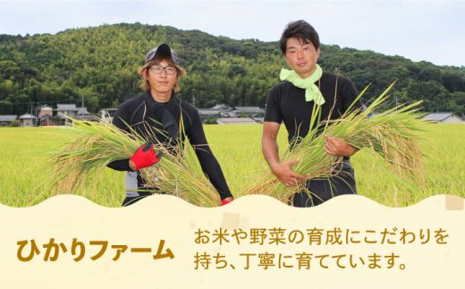 【全3回定期便】【令和6年産先行予約】 ひかりファーム の 夢つくし 3kg【2024年10月以降順次発送】【2024年10月以降順次発送】《築上町》【ひかりファーム】[ABAV033]