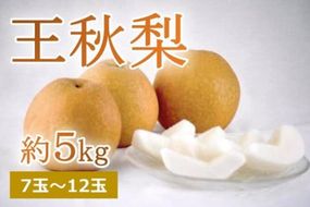 【先行予約】樹上完熟 王秋梨 5kg（7～12個）（2024年12月上旬～発送）　国産 なし ナシ 梨 2024フルーツ ふるーつ 果物 くだもの 農家応援 生産者応援 BF00009