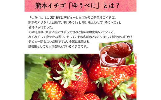 ハニーローザ＆いちごコンフィチュールセット《30日以内に出荷予定(土日祝除く)》熊本県 玉名郡 玉東町 イチゴ 贈答 ギフト ハニーローザ ゆうべに ぷらっとぎょくとう---sg_ichigojam_30d_24_10000_3set---