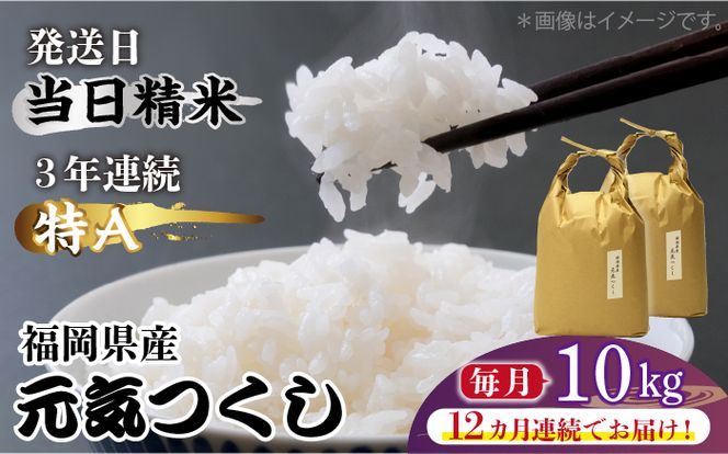 【先行予約】【全12回定期便】福岡県産【特A】評価のお米「元気つくし」5kg×2袋 [10kg] [白米]【2024年11月下旬以降順次発送】《築上町》【株式会社ベネフィス】[ABDF117]