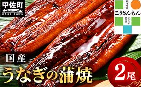 【甲佐ブランド】 うなぎ 蒲焼き 2尾 【こうさんもん認定商品】熊本産 国産 総重量300ｇ以上