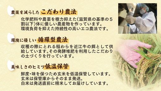 えさとです 近江米コシヒカリ 玄米30kg（6年産】強い粘りと旨味！お米の王様