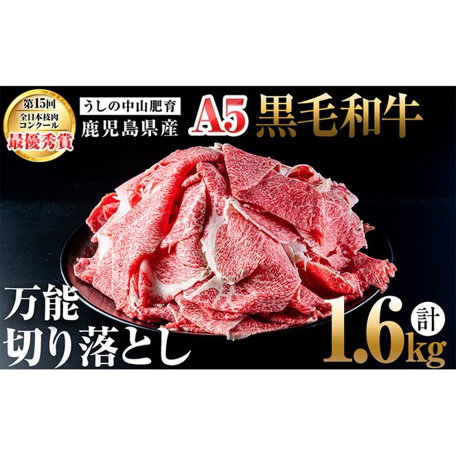 ＜A5等級＞鹿児島県産黒毛和牛万能切り落とし 計1.6kg(400g×4P) b5-138