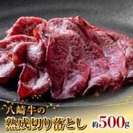 八崎牛の熟成の切り落とし約500g N0105-YA2240