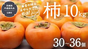 柿 10kg（30〜36個）【令和6年10月より発送開始】（茨城県共通返礼品：石岡市産） 果物 フルーツ 茨城県産 [BI429-NT]