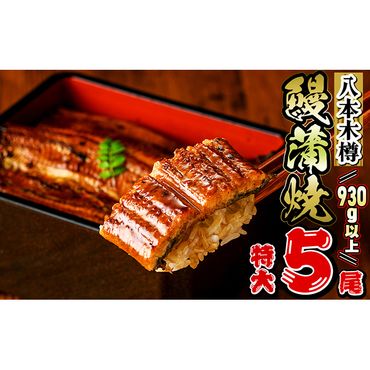 【数量限定】特大! 国産 八本木樽鰻の蒲焼(186g以上×5尾) c0-104