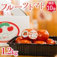 フルーツトマト糖度10度　1.2kg ※2025年1月上旬～4月下旬頃に順次発送予定◆