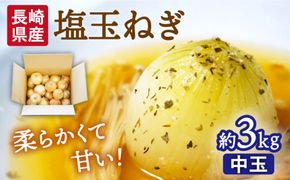 【2025年3月中旬〜発送】【柔らかくて甘い！】塩玉ねぎ（新玉ねぎ）約3kg（中玉） 南島原市 / 長崎県農産品流通合同会社 [SCB056]