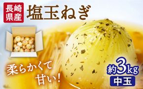 【2026年3月中旬～発送】【柔らかくて甘い！】塩玉ねぎ（新玉ねぎ）約3kg（中玉） 南島原市 / 長崎県農産品流通合同会社 [SCB056]