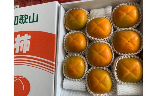 たねなし柿 赤秀品 3Lサイズ 化粧箱 CC38