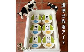 【北海道産搾りたて生乳使用】ひらかわ牧場のアイスクリーム おすすめ2種12個セット フレッシュミルク キャラメルクランチ デザート スイーツ お取り寄せ ギフト せたな町 ふるさと納税　
