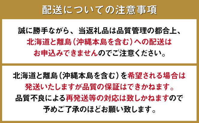 【6回定期便 Bコース】フルーツ定期便 旬のフルーツセット / いちご ビワ スイカ ぶどう アールスメロン 柑橘類 南島原市 / 長崎県農産品流通合同会社 [SCB066]
