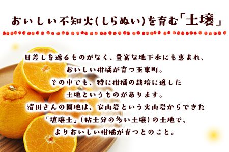 『清晃アグリ』のご家庭用不知火(しらぬい)約4kg(L-4Lサイズ)10玉-16玉前後《2月上旬-3月下旬頃出荷》予約受付中 フルーツ 旬★デコポンと同品種★熊本県玉名郡玉東町『清晃アグリ』不知火 ちょこっと訳あり---sg_waguridek_ak2_24_8500_4kg---