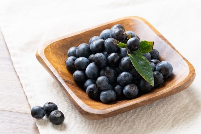 【先行予約／数量限定40】【訳あり】無選別 生ブルーベリー500g（2026年7月上旬～発送）
