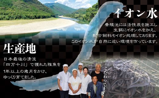 R5-302．四万十川優化イオンうなぎ　蒲焼3尾・白焼2尾（ボイル肝、たれ付き）