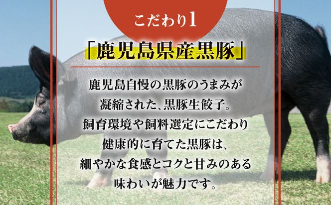 鹿児島黒豚使用の黒豚生餃子　K202-001