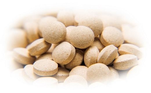 E-24 冬虫夏草　源氣