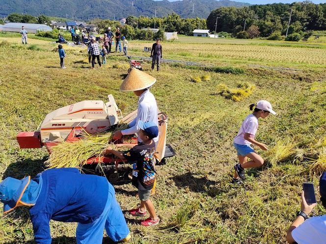 自然栽培米 ヒノヒカリ 玄米 25kg　京都府・亀岡産 令和5年産 栽培期間中農薬不使用  ※離島への配送不可