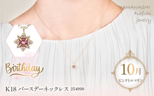 yRJszK18o[Xf[lbNX@sNg}@10@Ǘԍ254990@×1{ 218-045