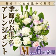 ＜定期便・6回(連続)＞季節のお供え用アレンジメント(生花：Mサイズ)生花 お花 花束 フラワー 植物 お供え 供花 仏花 命日 仏事 法事 贈り物【FM-24】【フラワーショップまつだ】