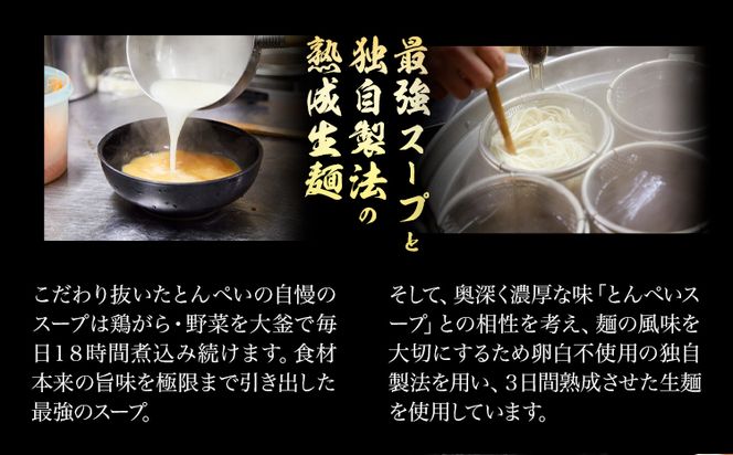 とんぺいの生ラーメン 5食入り スープ・チャーシュー・メンマ付 とんぺい《30日以内に出荷予定(土日祝除く)》岡山県 笠岡市 ラーメン 生ラーメン 生麺 スープ チャーシュー メンマ 鶏ガラ白湯スープ 鶏ガラスープ 【配送不可地域あり】 ---A-234---