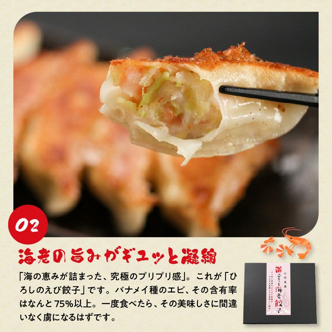 ひろしの餃子 満喫セット（もちチーズ餃子10個、特製餃子16個、えび餃子20個）　A-0833r