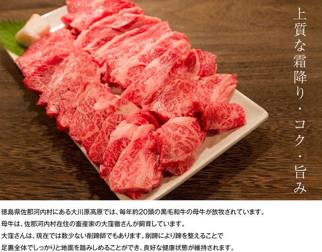 【CF】大川原高原牛  赤身霜降り焼肉　1kg《60日以内に出荷予定(土日祝除く)》 ---sanagouchi_nfw_3_1kg---