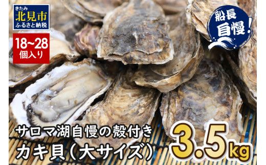 【予約：2024年10月下旬から順次発送】サロマ湖自慢の殻付きカキ貝 大 3.5kg詰め ( 牡蠣 かき 濃厚 大きい 魚介類 貝類 殻付 殻付き牡蠣 BBQ バーベキュー )【114-0010-2024】