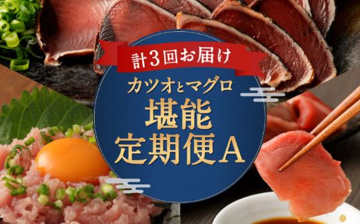 定期便3回 カツオとマグロ堪能定期便A お楽しみ 切り落とし 刺身 刺し身 鮪 カツオのたたき ネギトロ 海鮮 魚 惣菜 海産物 魚介類 まぐろ まぐろたたき 海産物 冷凍 高知県 緊急支援品 訳あり 鰹 切り落とし 不揃い 傷 規格外 故郷納税 送料無料 室戸 all