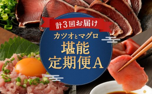 【3回定期便】カツオとマグロ堪能定期便A　tk012