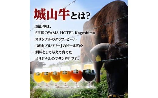 SHIROYAMA HOTEL kagoshima 城山牛リブロースと黒豚ロースセット　K096-006