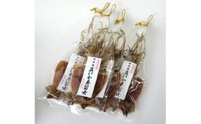 【大好評】北海道産 するめ 16枚セット するめいか 産地直送 無添加 ダイエット 炙り おつまみ 海鮮 せたな町 ふるさと納税