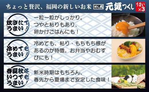 福岡県産米「元気つくし」パックご飯　200g×48パック【JAほたるの里】_HA1313