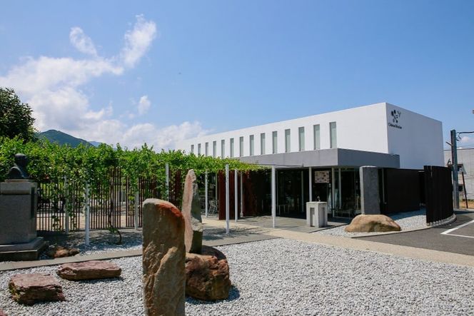 白ワイン 定期便 安曇野シャルドネ 750ml 6回 計 6本 [シャトー・メルシャン 勝沼ワイナリー 長野県 池田町 48110305] 白 ワイン ギフト